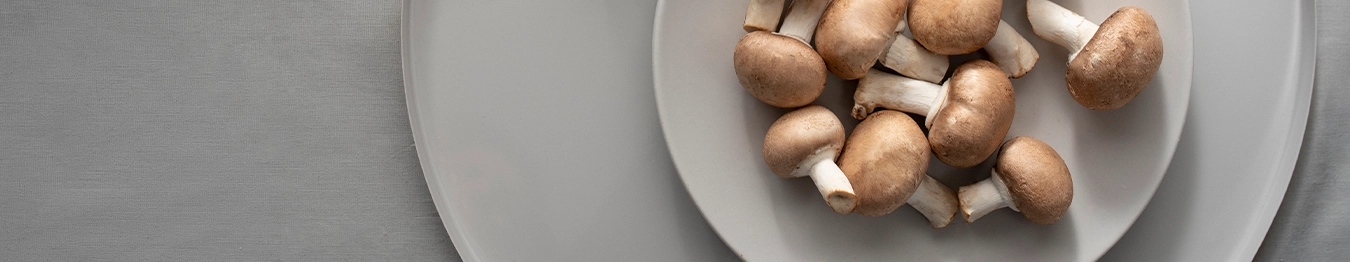 conserve legume - Niemand Mez