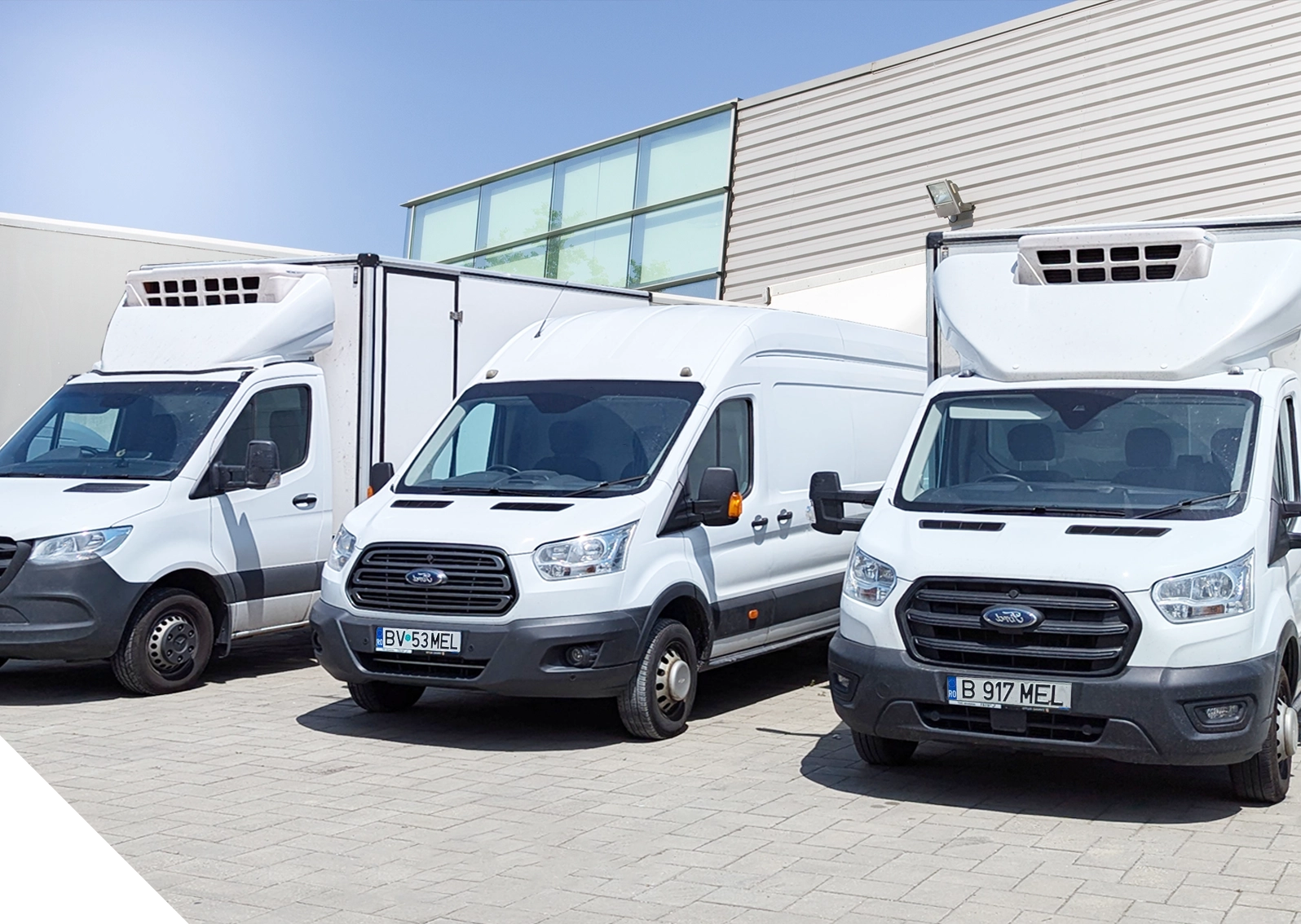 flora niemand mez - Niemand Mez